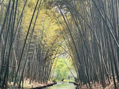 -同里国家湿地公园