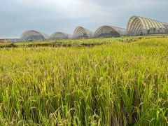 -中国天府农业博览园