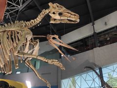 -湖南省地质博物馆