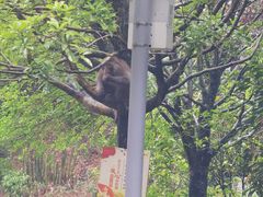 -黔灵山公园