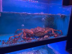 -月下料理(楷林IFC店)