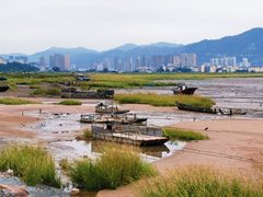 -北岐滩涂