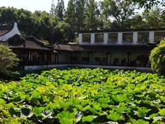 -上海醉白池公园