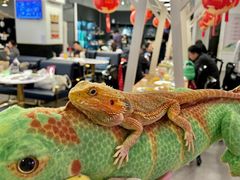 -FAIRYLAND龙族星球主题餐厅(凯丹广场店)