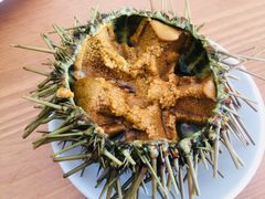 -海胆小馆(东北水饺·春柳店)