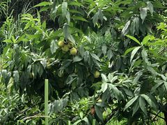 -白鹭湾湿地公园