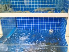 -威海渔村(黄兴路店)