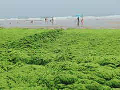 -青岛银沙滩