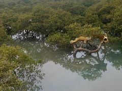 -北海金海湾红树林生态旅游区