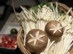 -同仁四季椰子鸡(海岸城天利店)
