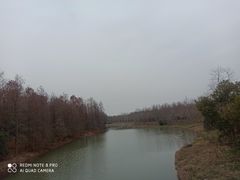 -上海海湾国家森林公园