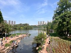 -重庆彩云湖湿地公园