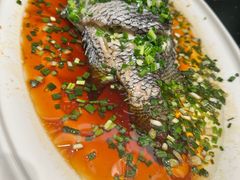 -渔人码头(中南店)