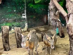 -正佳雨林生态植物园