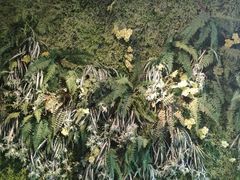 -南城十里潮汕鲜牛火锅·鲜虾生滚粥(融汇老商埠店)