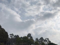 -云南野生动物园