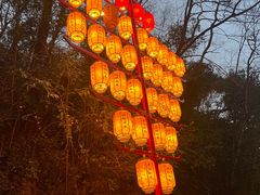-黔灵山公园