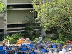 -香港大学