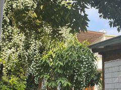 -三圣花乡旅游区