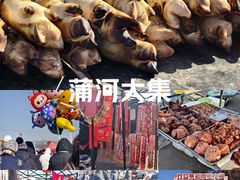 -蒲河大集