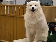 -和它·交个朋友·狗咖猫咖(爱琴海店)