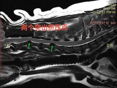 -北京派仕佳德动物医院·超导核磁·CT·神经科·骨科·内外科·急重症管理中心