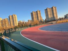 -仕奇公园