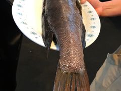 -同乐酒楼(皇后镇店)