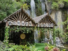 -西双版纳原始森林公园