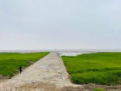 -南汇嘴观海公园
