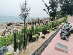 -广东惠东海龟国家级自然保护区