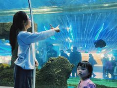 -迪卡侬(雨花店)