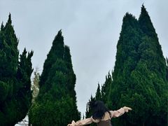 -盐城丹顶鹤湿地生态旅游区