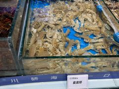 -川骄海鲜自助(亚运村店)
