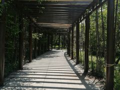 -黑龙江省森林植物园