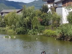 -丽江金茂凯悦臻选酒店-滇香馆