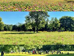 -沉浸北京·团建旅行·密室剧本杀·年会会议轰趴拓展