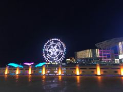 -琴岛之星摩天轮