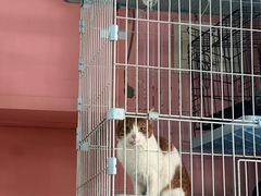-酷狗靓猫宠物·洗护·美容·寄养(航北路店)