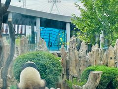 -大连森林动物园