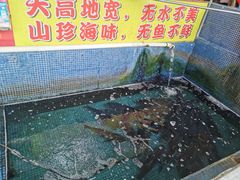-溪悦渔庄(九龙湖店)