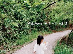 -青龙山国家森林公园