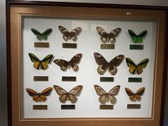 -上海昆虫博物馆