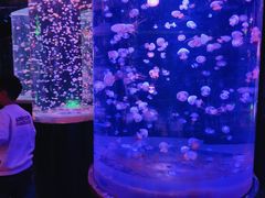 -邯郸海洋世界