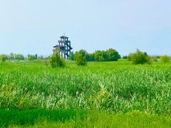 -野鸭湖国家湿地公园