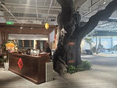 -大视光学•LINDBERG林德伯格•全球手工眼镜集合店(王府井店)