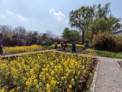 -溱湖国家湿地公园