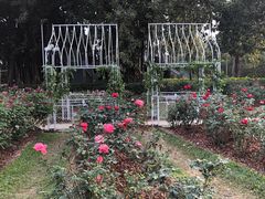 -人民公园(罗湖区)