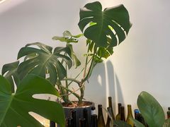 -fishtank鱼缸咖啡(三山街店)