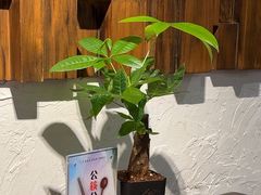 -山外山·林语花园餐厅
